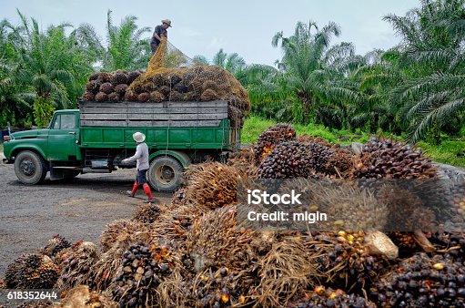 dump truck